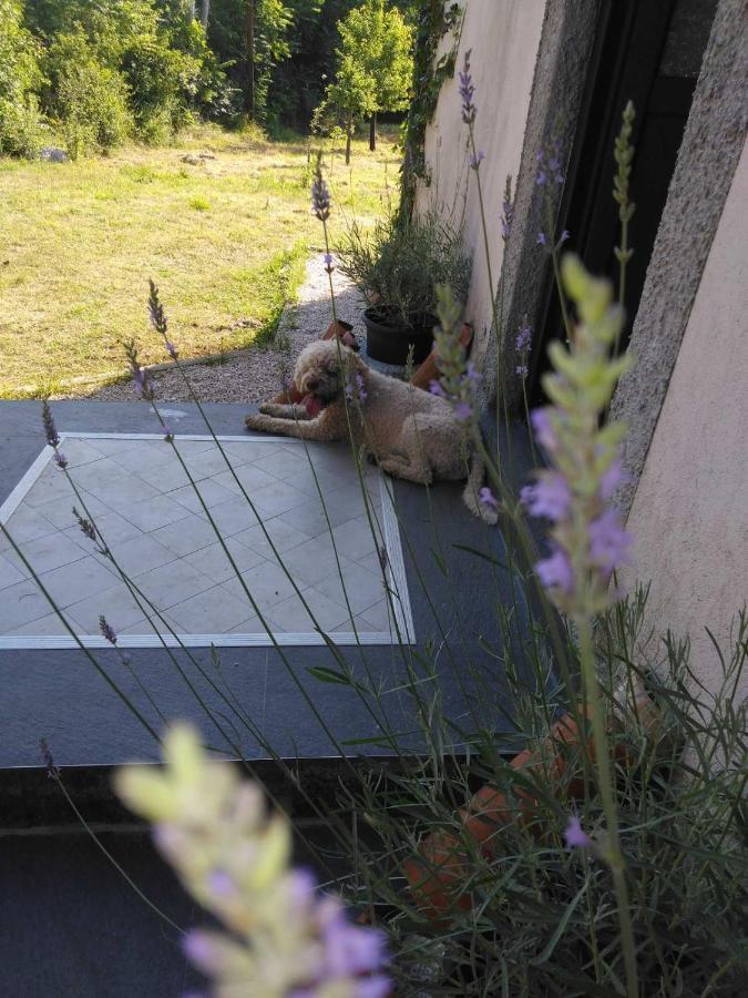 Lucha apartman Rijeka Crnojevića Exterior foto